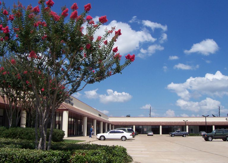 9110 Jones Road Retail Center Bejani and Associates